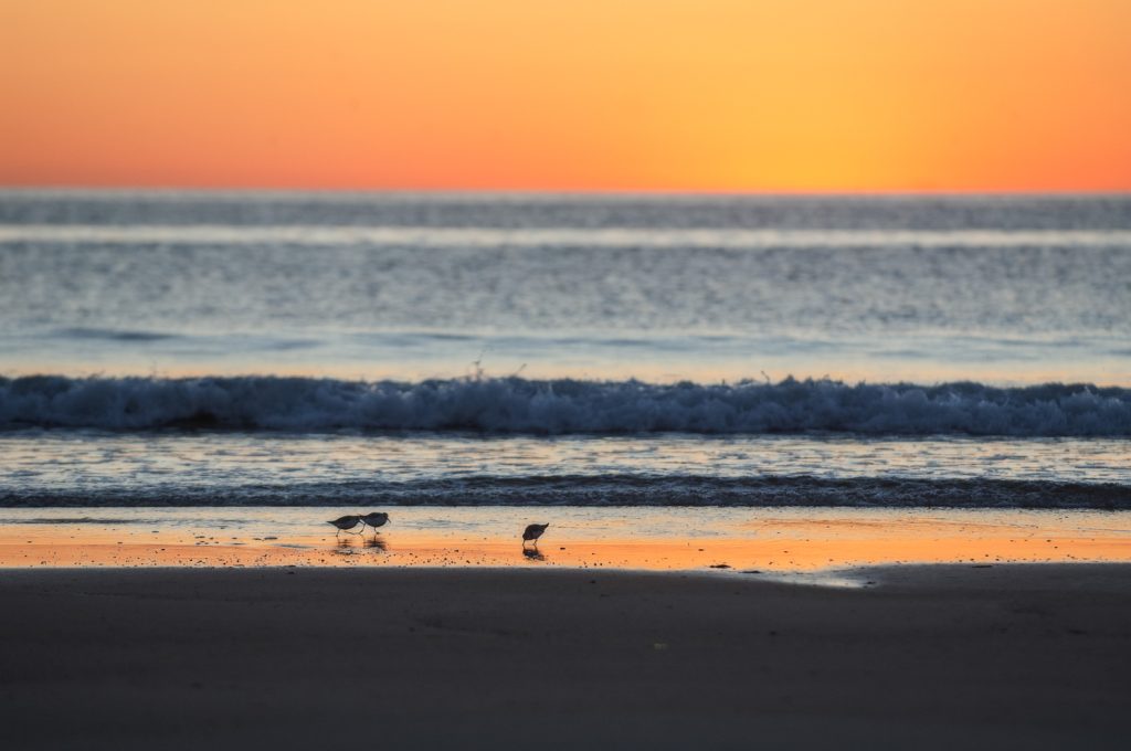 Cape Cod, le charme à l’état pur