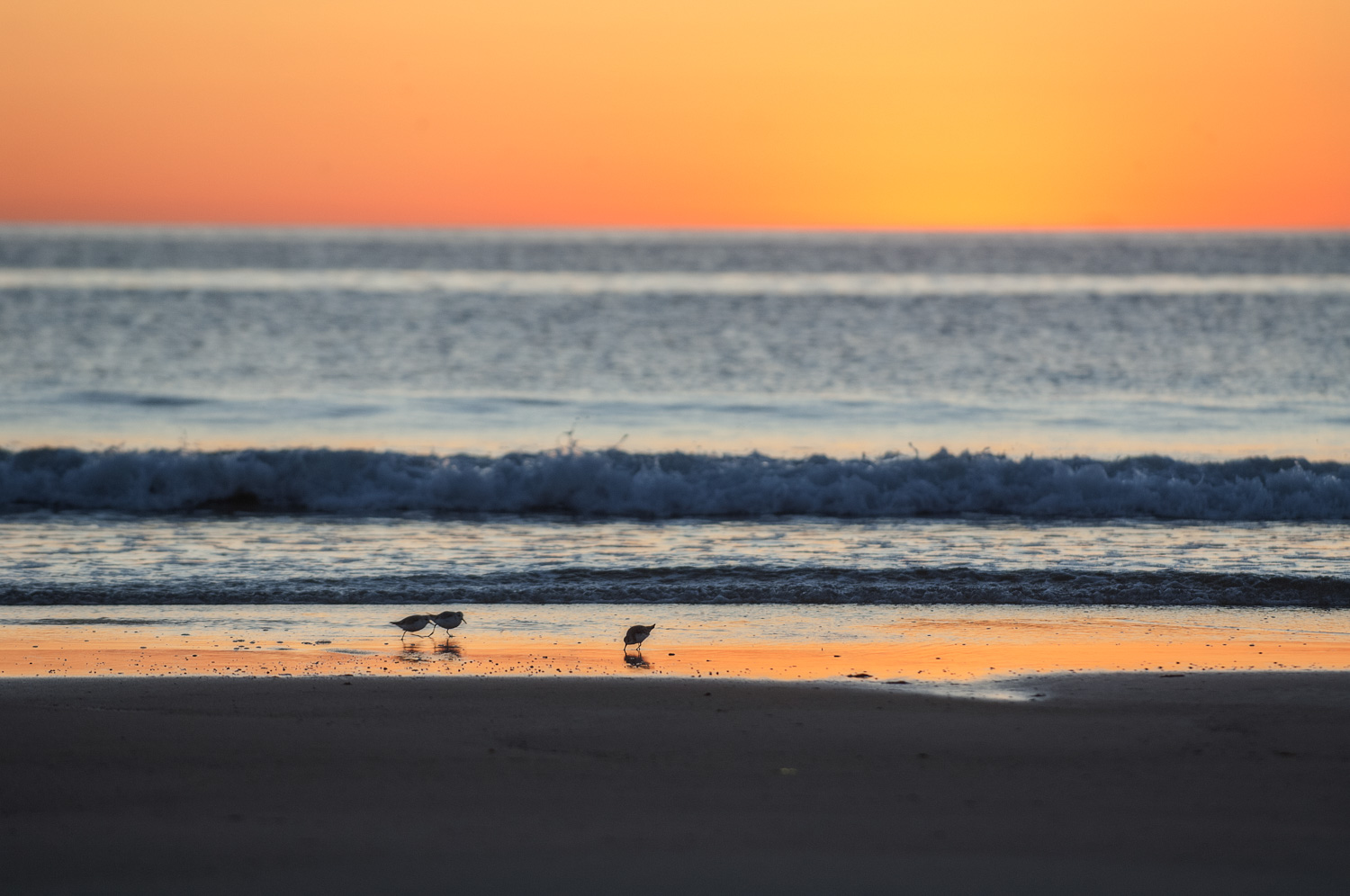 Cape Cod, le charme à l’état pur