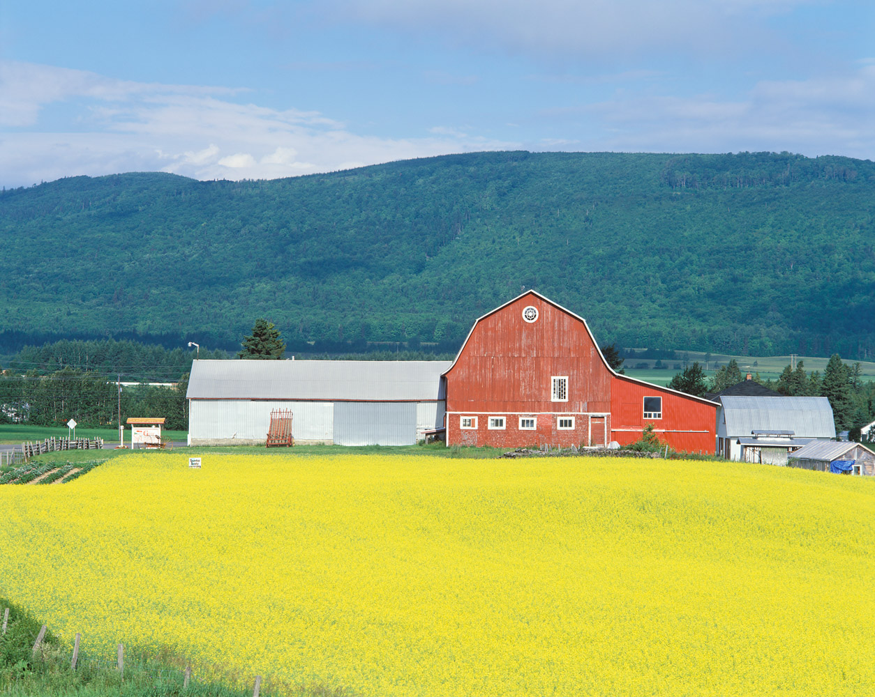 La Gaspésie dans tous ses états