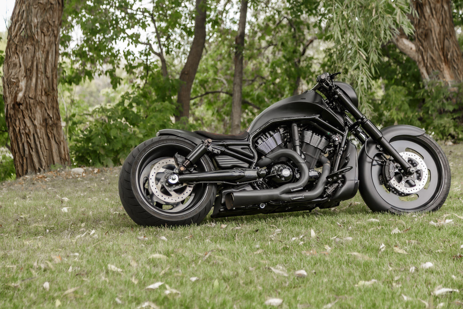 Projet: Harley Nightrod Special 2007