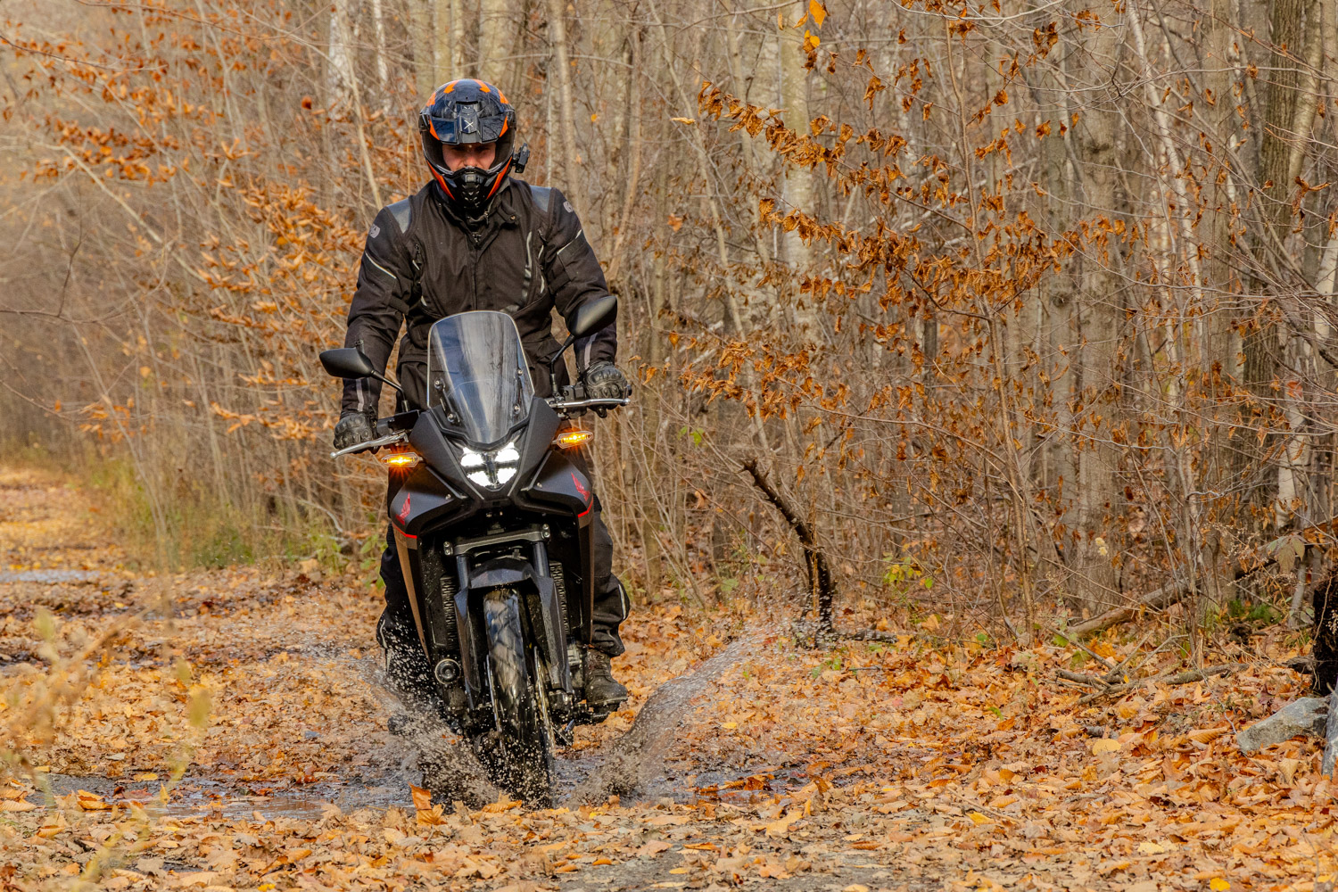 Honda-Transalp-2024 --enfin-de-retour-au-Canada