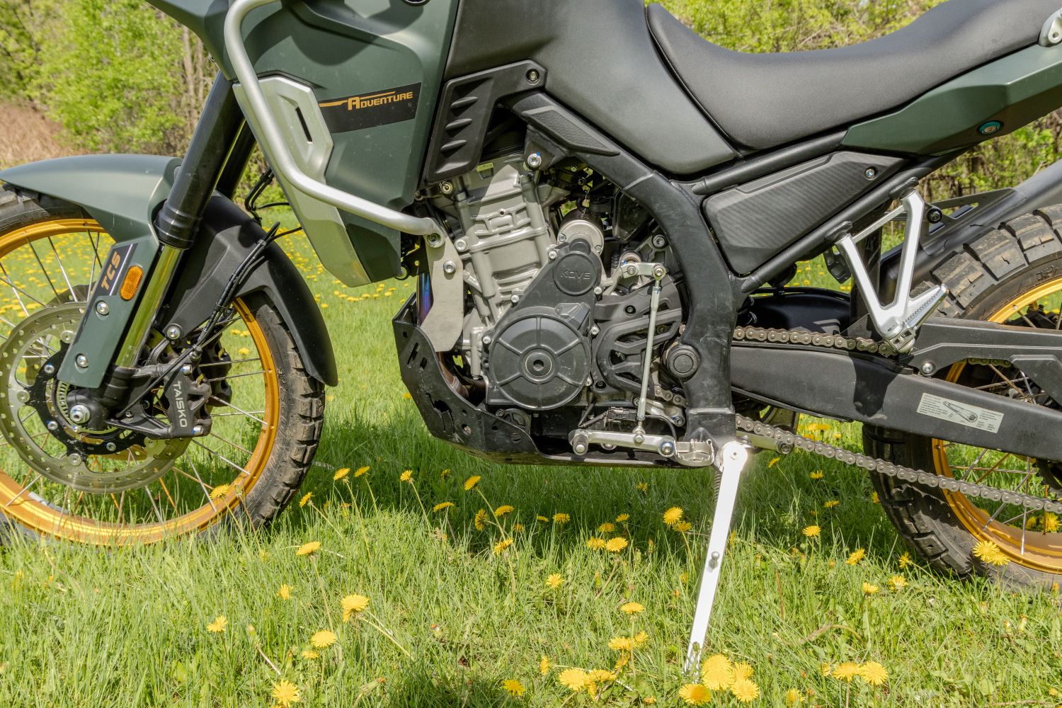 un vigoureux bicylindre de 799 cm³ et 95 hp