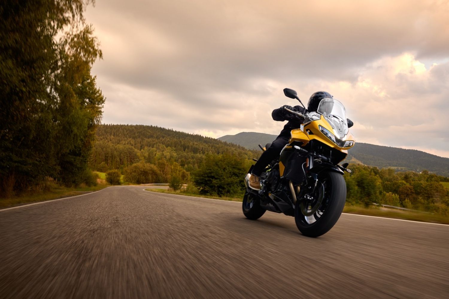 TRIUMPH DÉVOILE 33 MOTOS POUR 2026