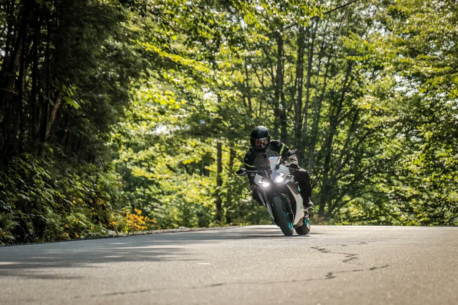 Photo 12 – grande taille