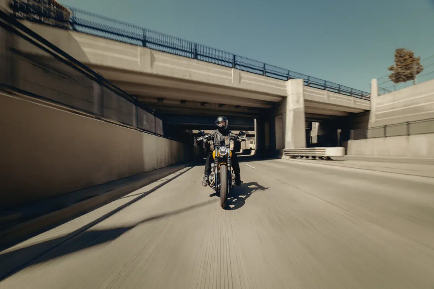 Photo 13 – grande taille