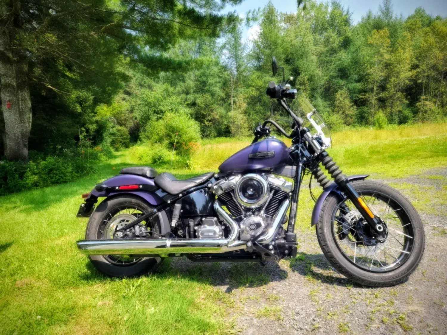 Photo 2 – grande taille