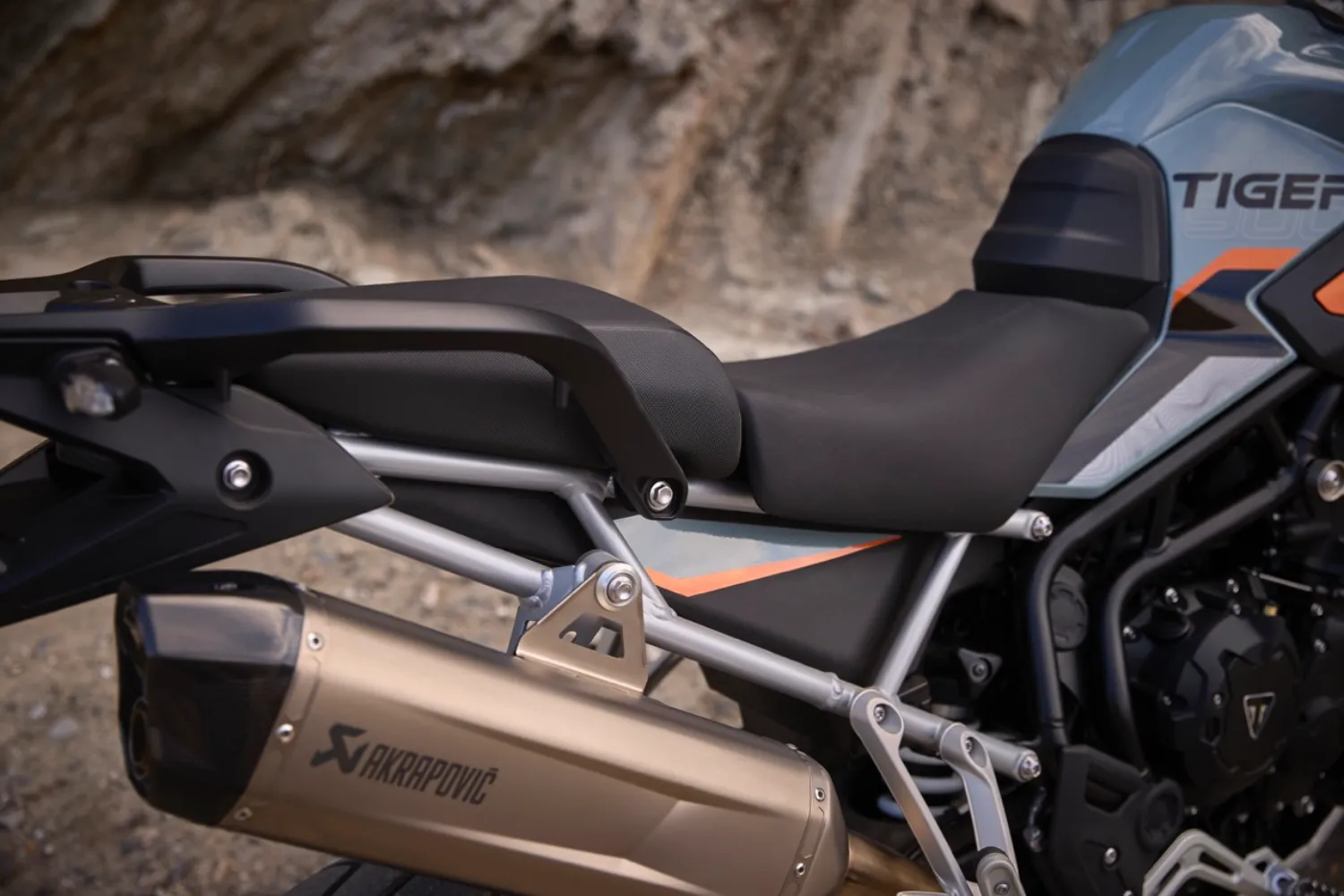 Photo 5 – grande taille