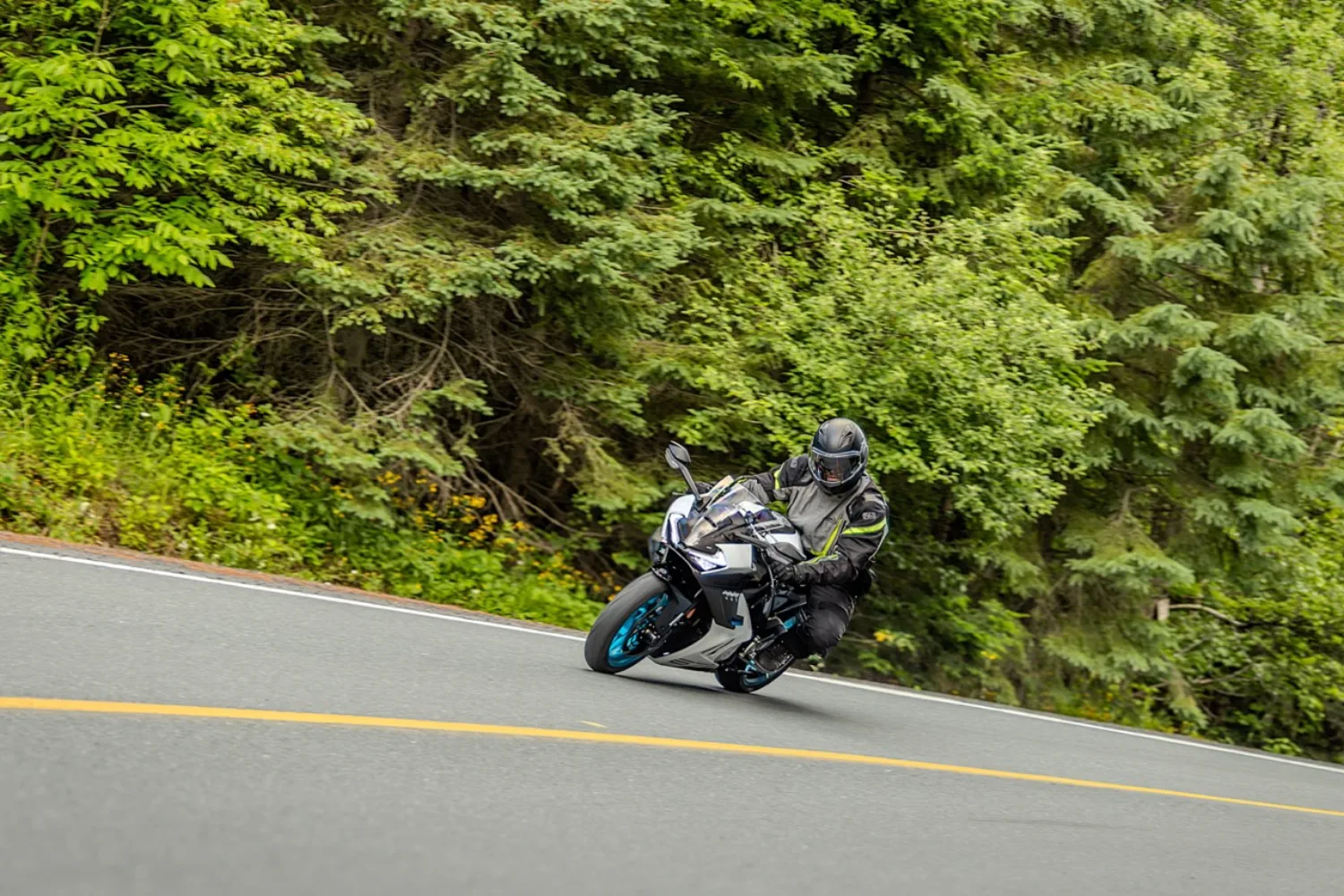 Photo 7 – grande taille