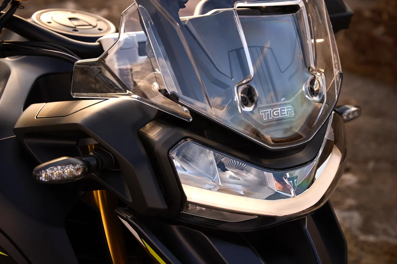 Photo 8 – grande taille