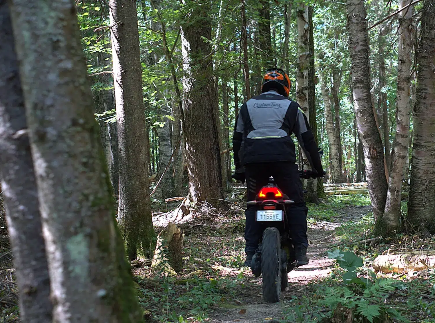 Photo 14 – grande taille