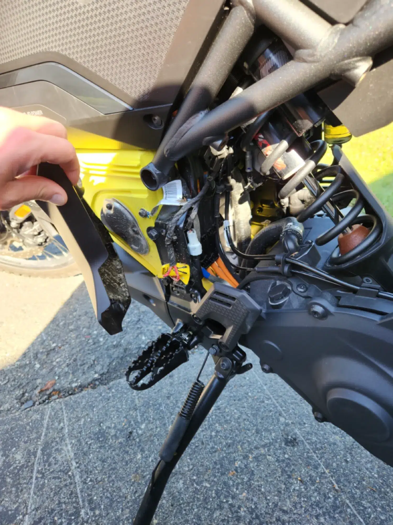 Photo 19 – grande taille