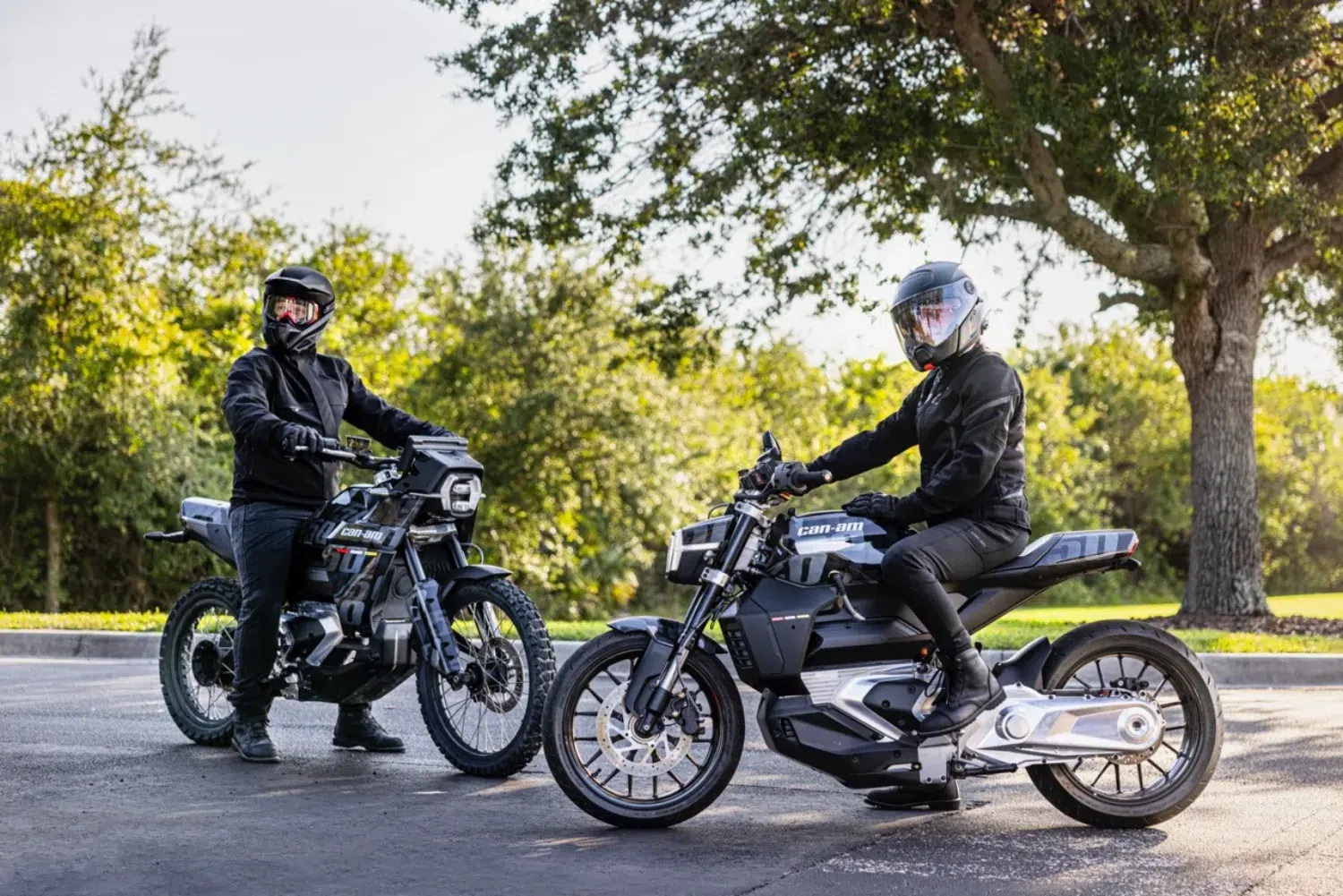 Photo 3.5 – grande taille