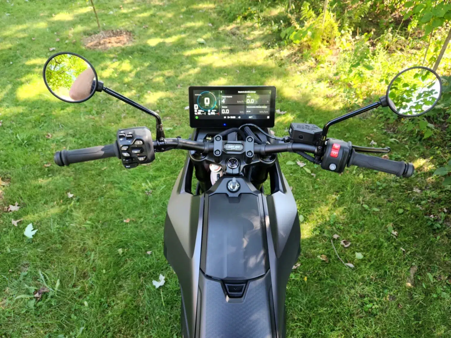 Photo 6.5 – grande taille