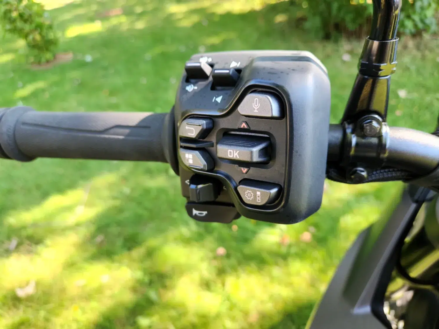 Photo 6.6 – grande taille