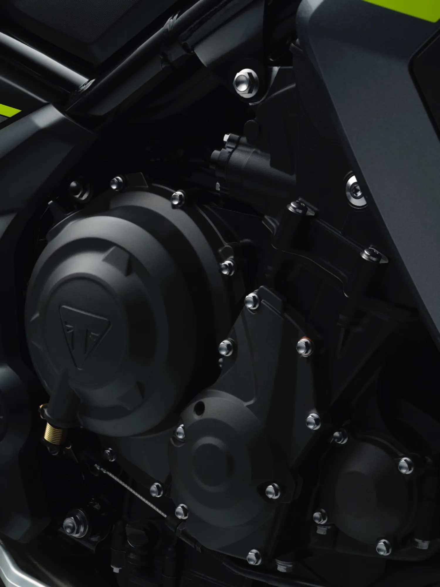 Photo 10 – grande taille