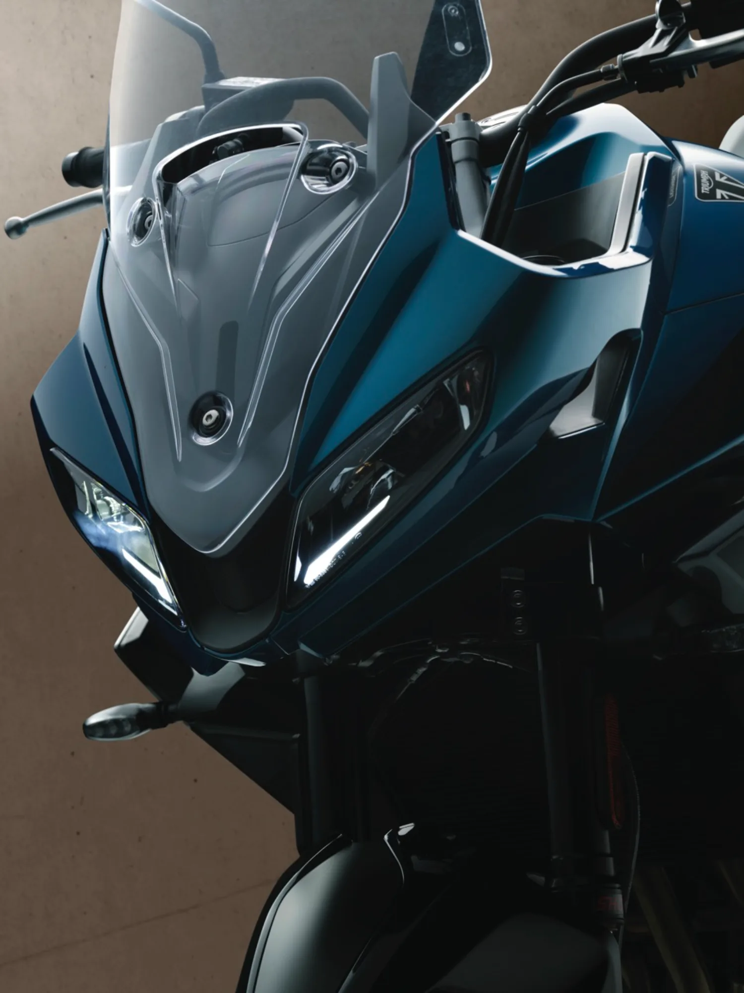 Photo 11 – grande taille