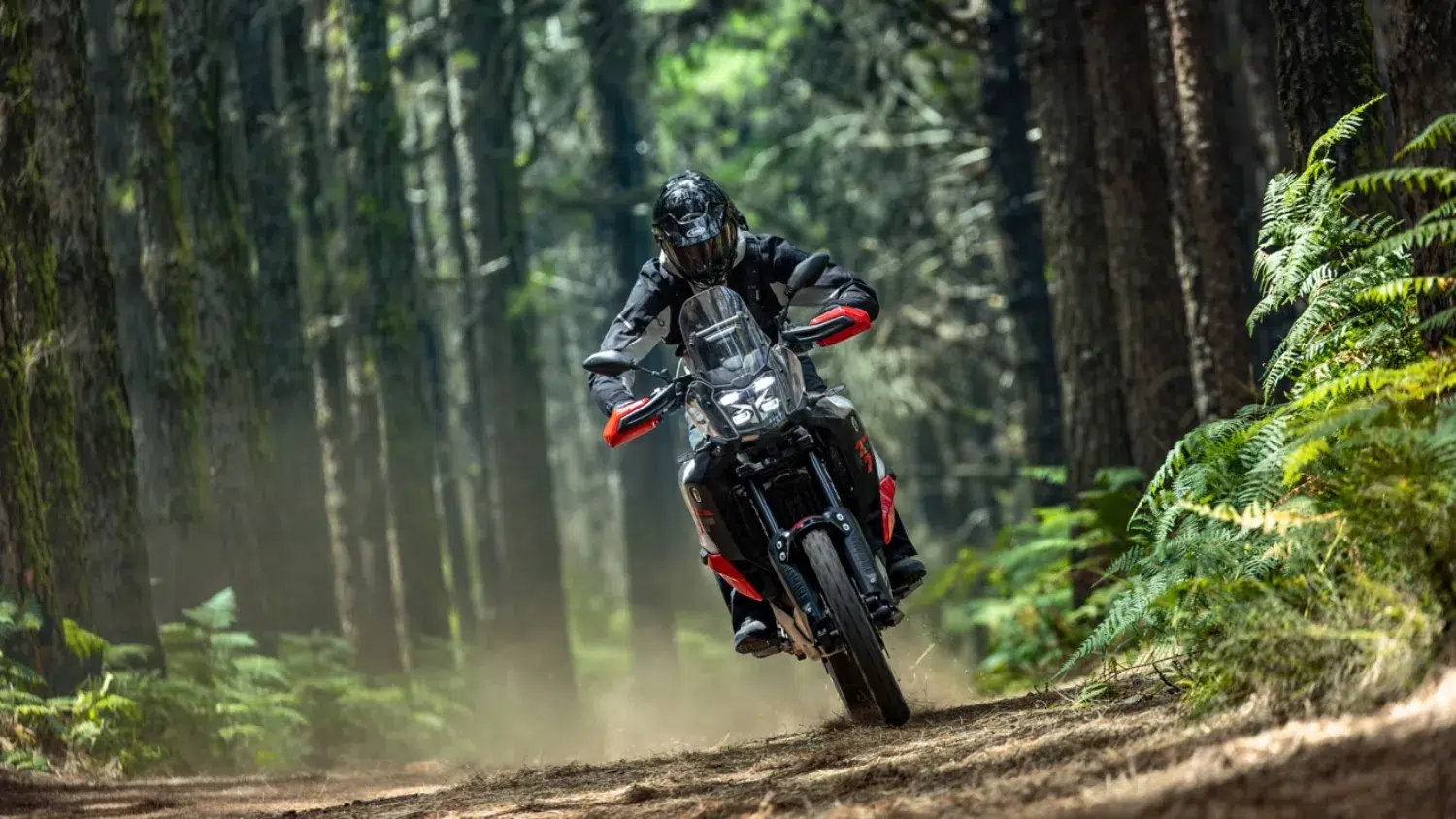 Photo 2 – grande taille