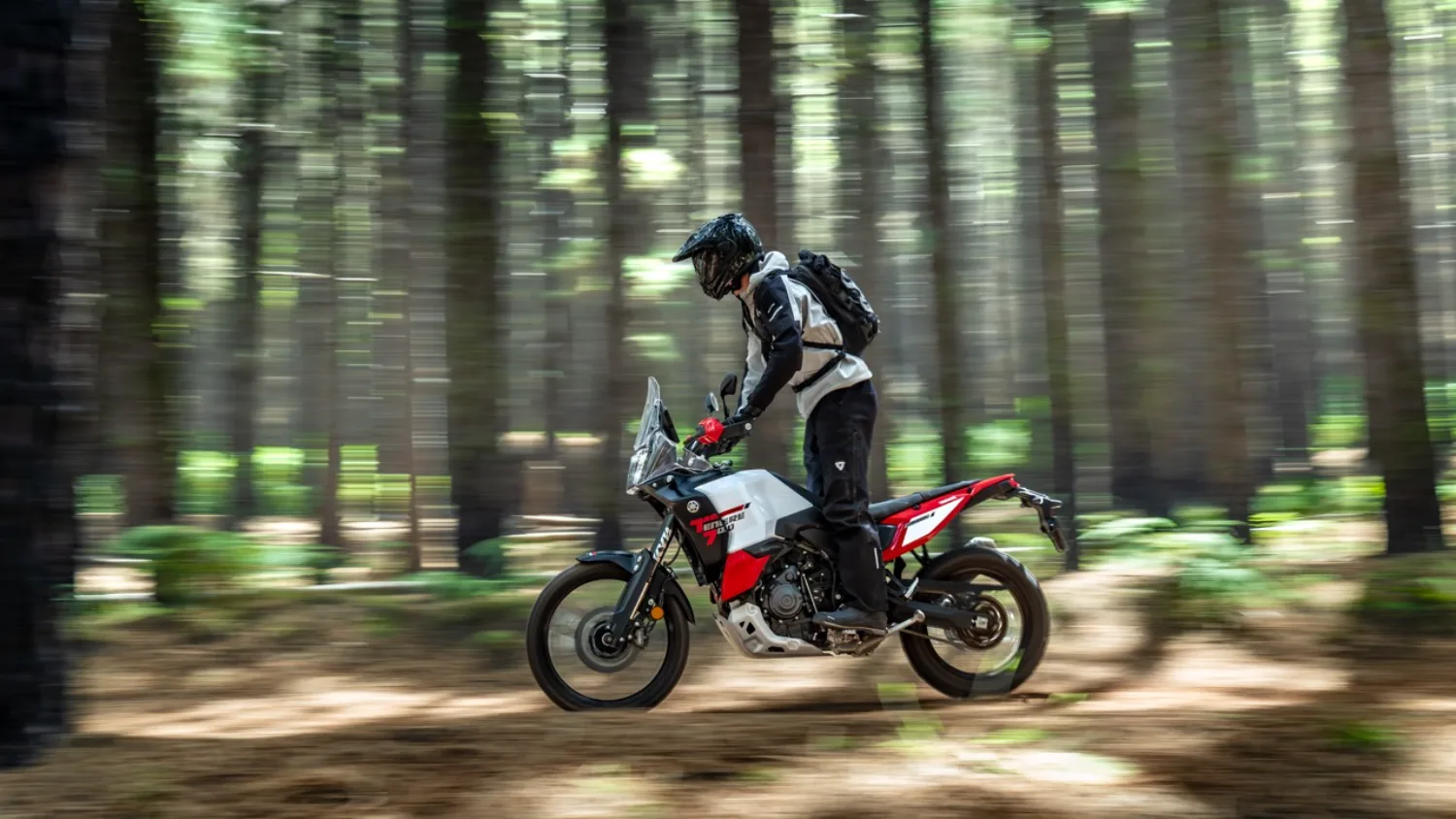 Photo 3 – grande taille