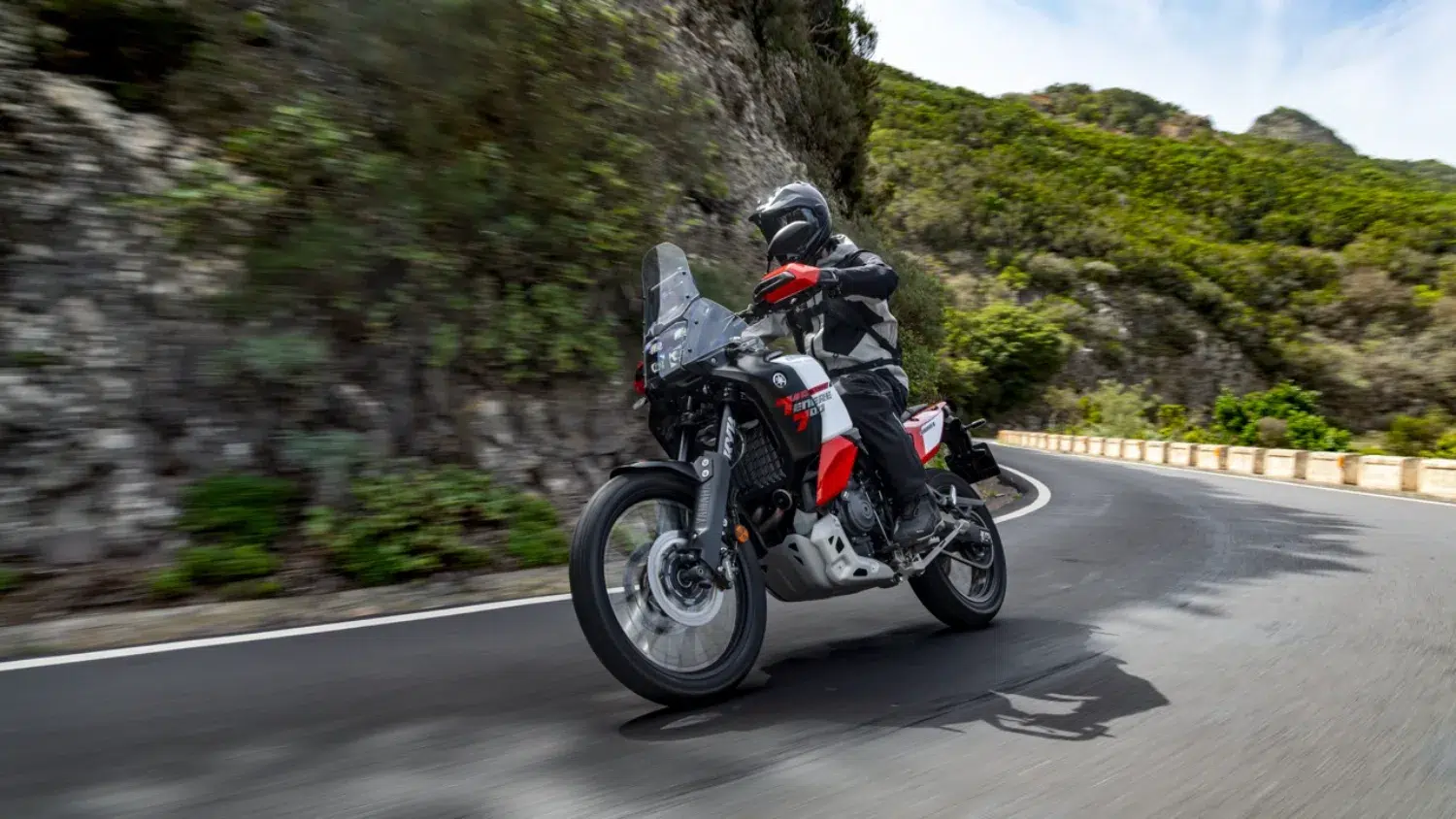 Photo 4 – grande taille