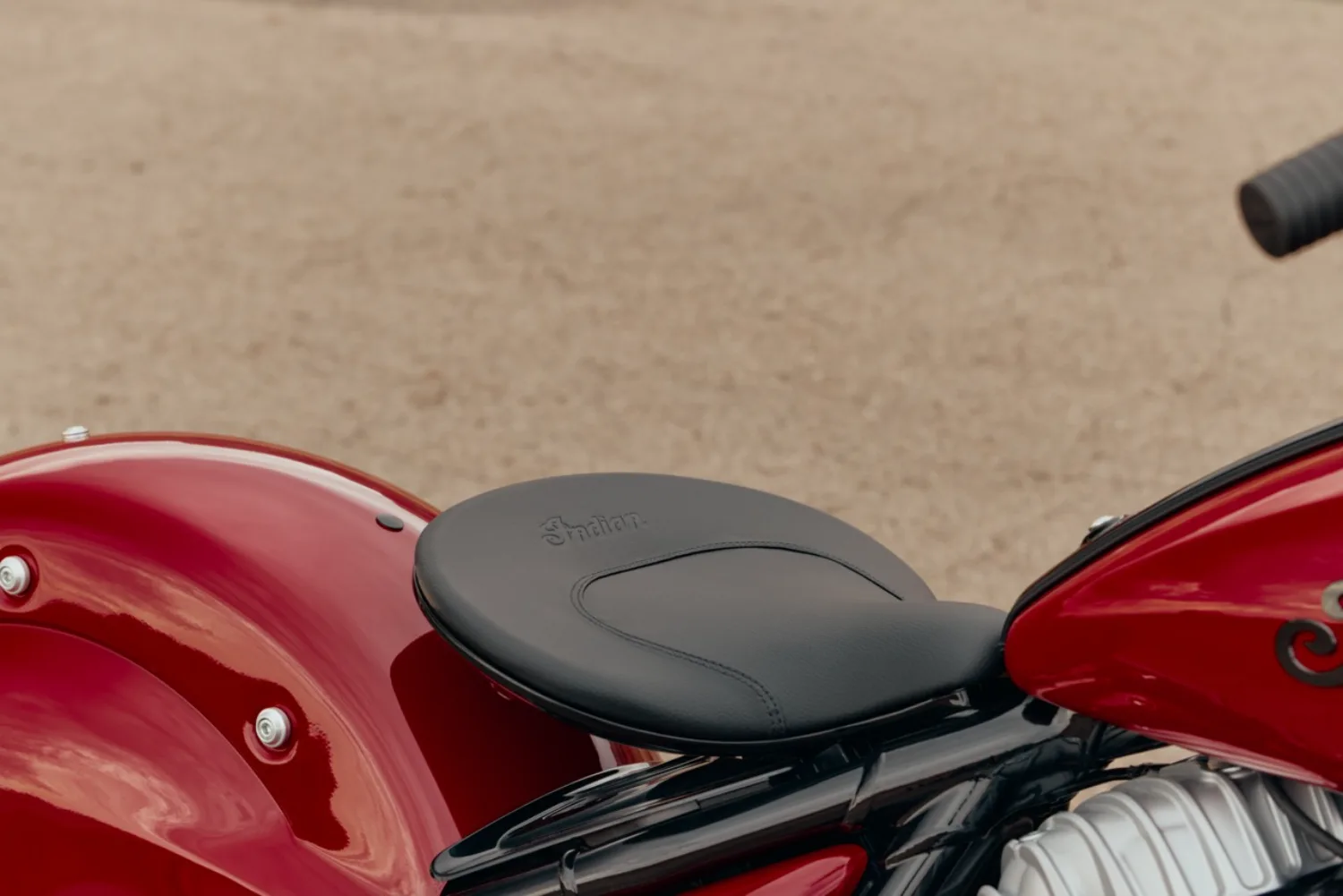 Photo 5 – grande taille