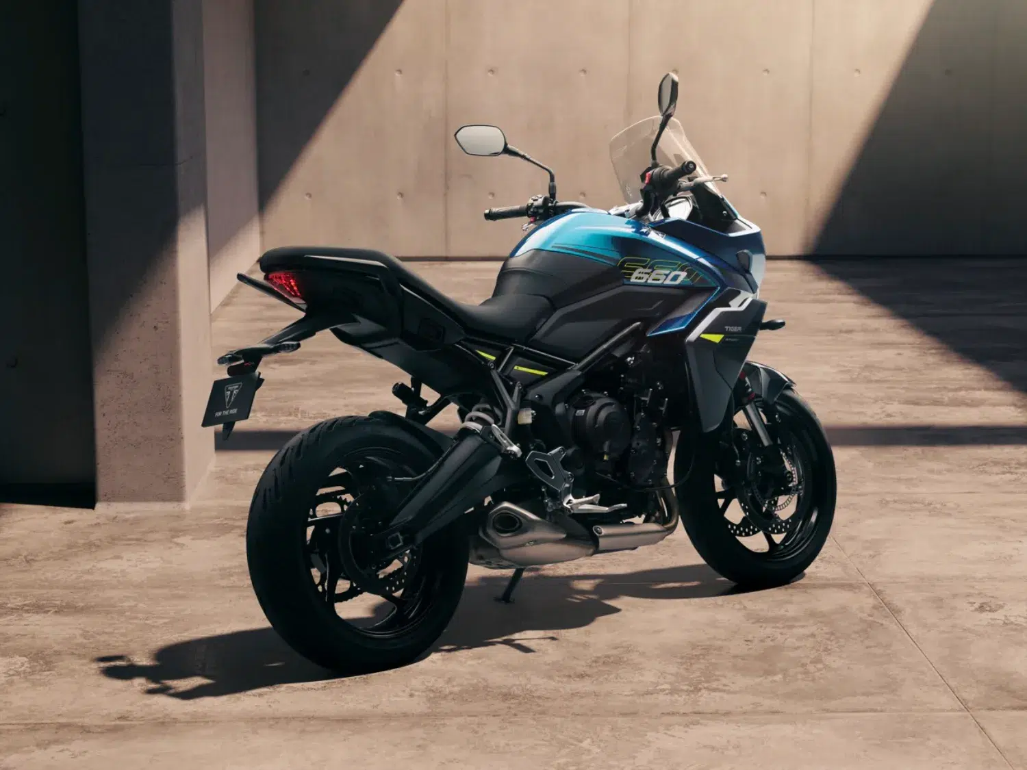 Photo 7 – grande taille