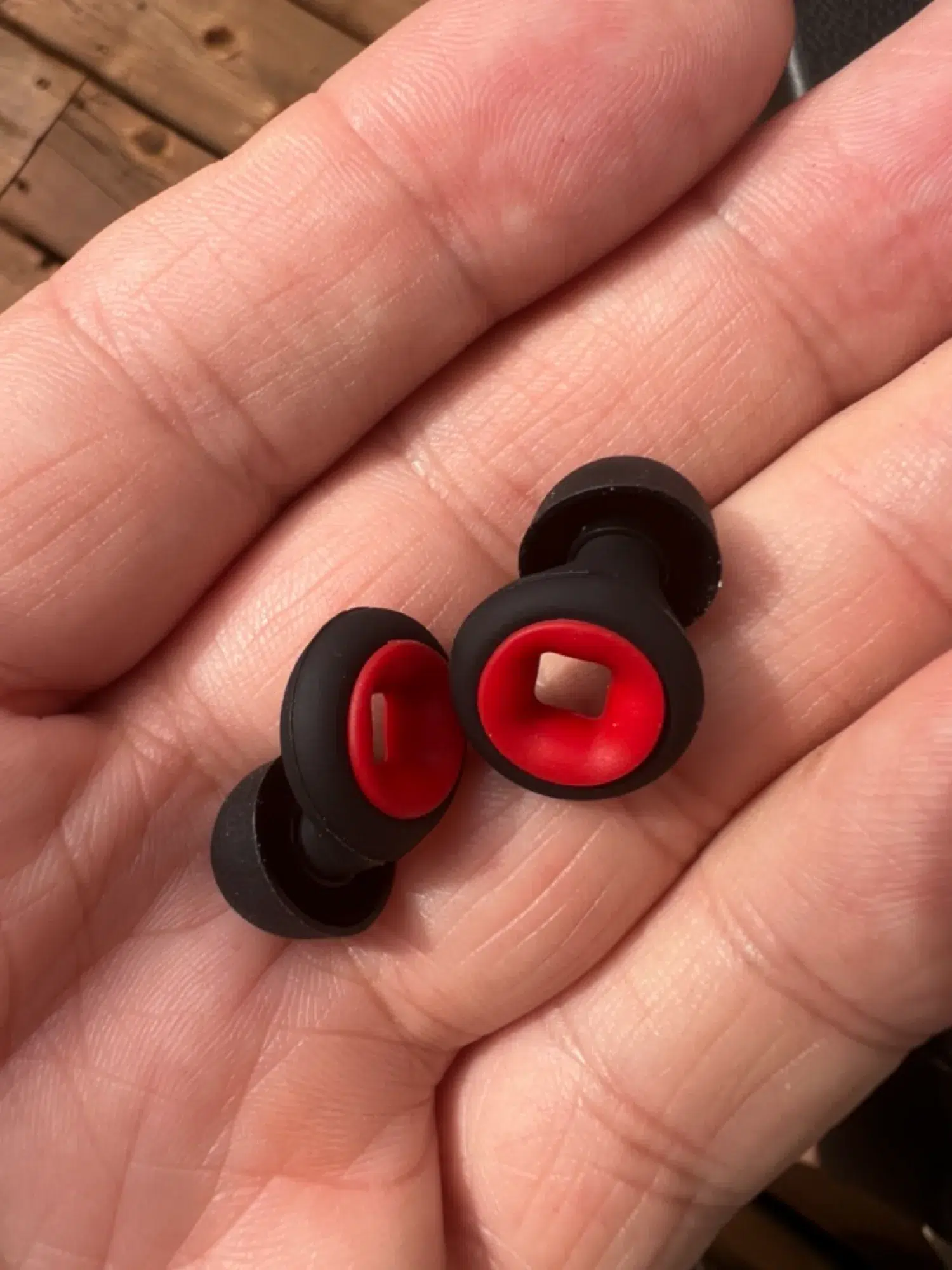 Photo 5 – grande taille