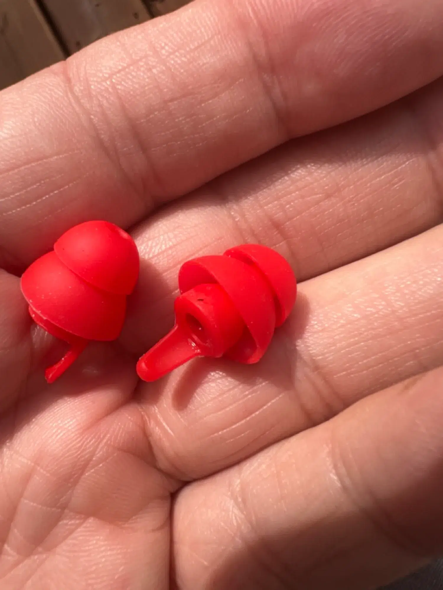 Photo 7 – grande taille