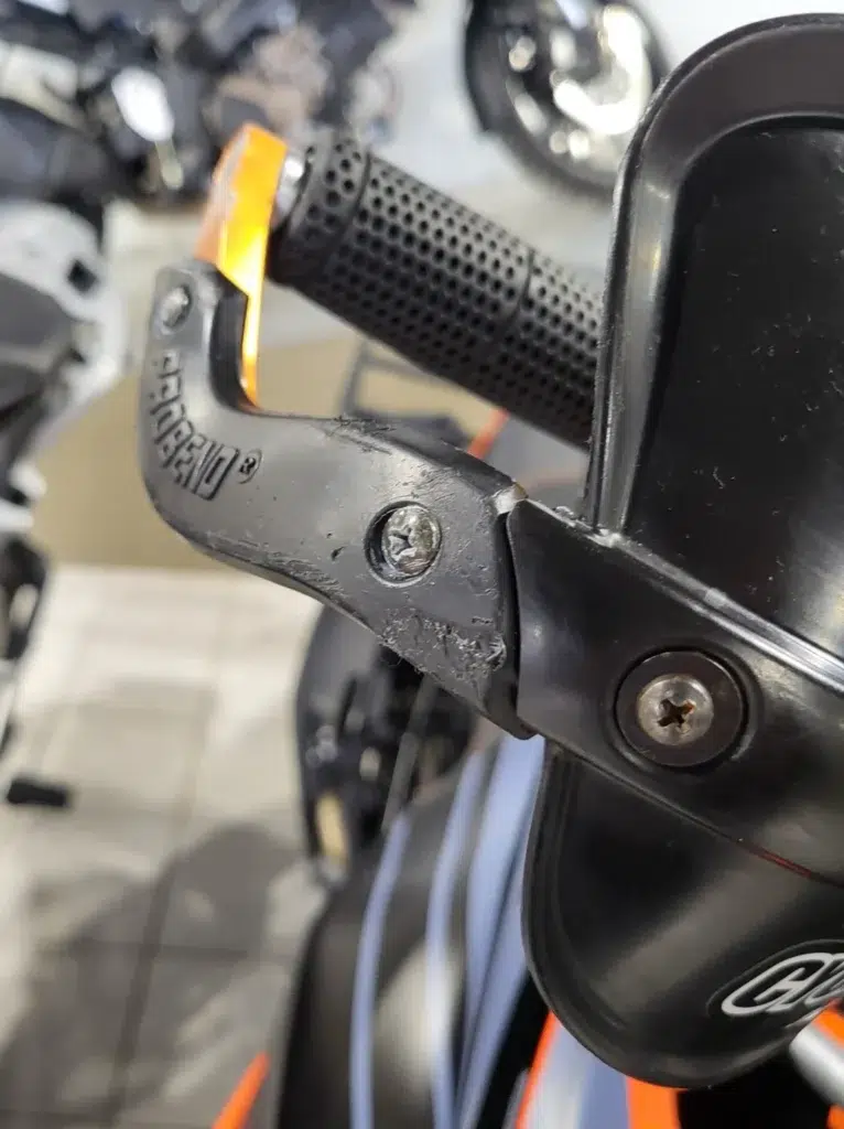 Photo 5 – grande taille