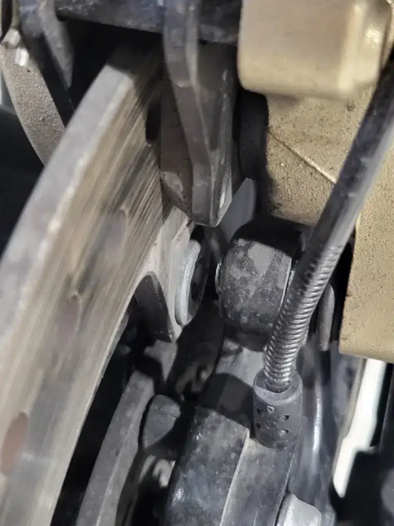 Photo 7 – grande taille