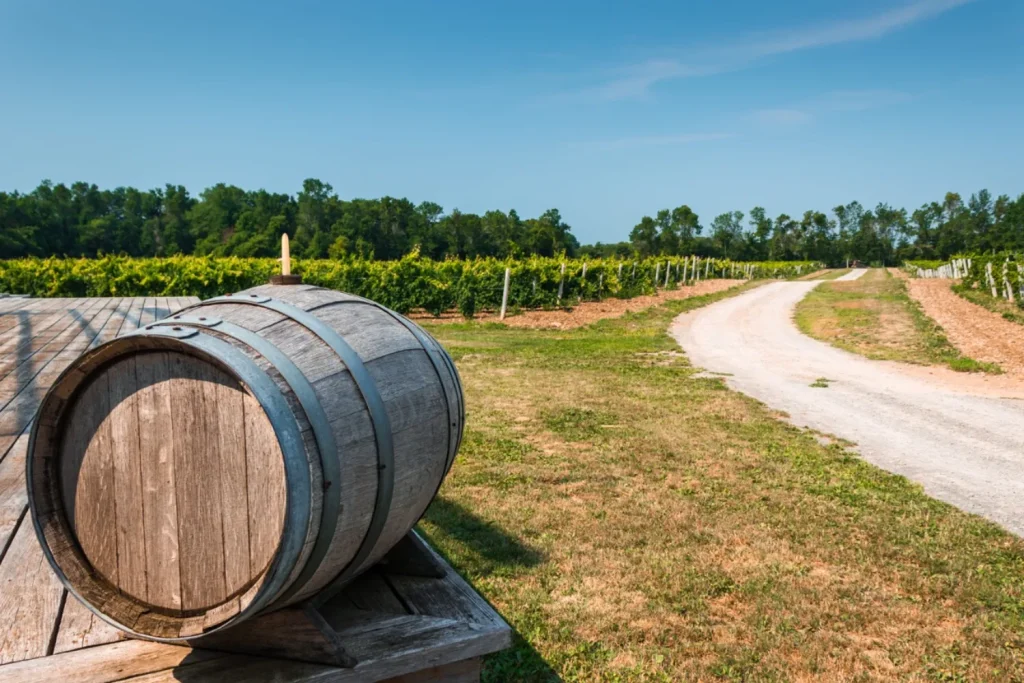 Les vignobles sont maintenant présents au Québec.