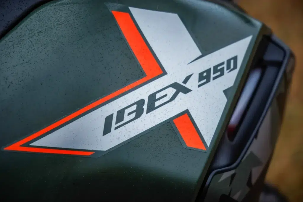 Ibex-03 – grande taille
